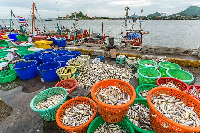 สุดปัง! สินค้าประมงไทยส่งออกปี 2567 ทำยอดทะลุเป้า สูงสุดในรอบ 10 ปี