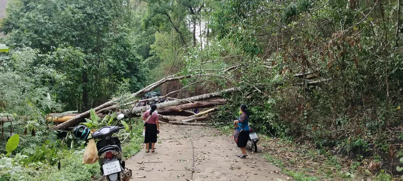 พายุฝนตกหนักและลมแรงที่บ้านปางขุม ต.ยั้นเมิง อ.สะเมิง จ.เชียงใหม่ ส่งผลกระทบต่อเส้นทางสัญจร