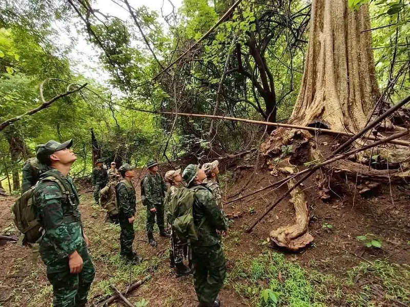 มทบ.38 ผนึกกำลังอุทยานฯ ศรีน่าน ลาดตระเวนเชิงรุก สกัดการลักลอบ – เฝ้าระวังไฟป่า